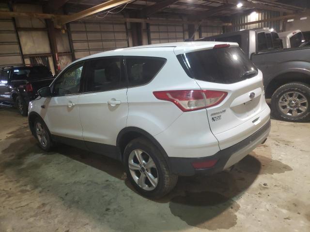 Photo 2 from auction – 2014 FORD ESCAPE SE with VIN 1FMCU0GX2EUC93576