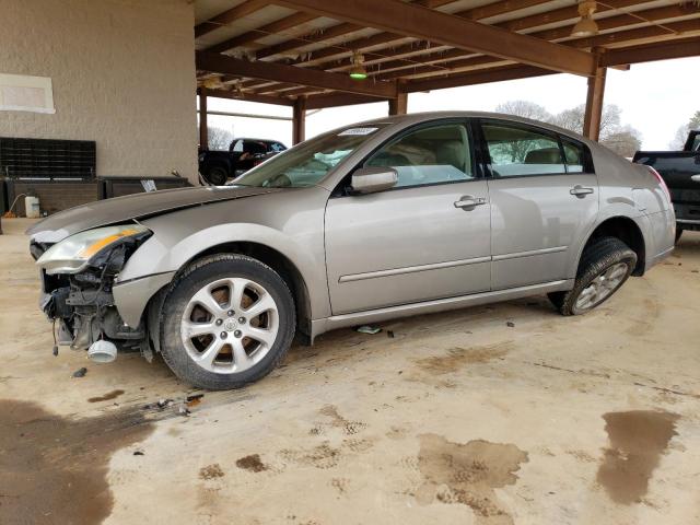 NISSAN MAXIMA SE 2007 with VIN 1N4BA41E97C834306 - Photo from auction
