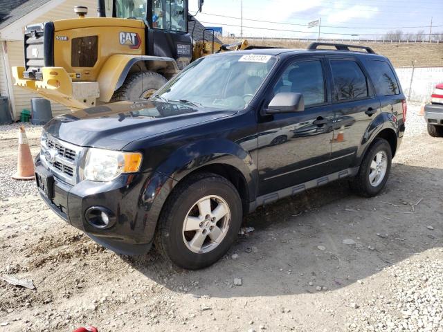 FORD ESCAPE XLT 2010 with VIN 1FMCU0D70AKD38279 - Photo from auction