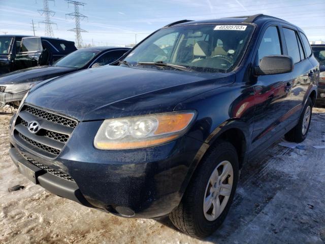 HYUNDAI SANTA gls 2009 with VIN 5NMSG13D39H313274 - Photo from auction