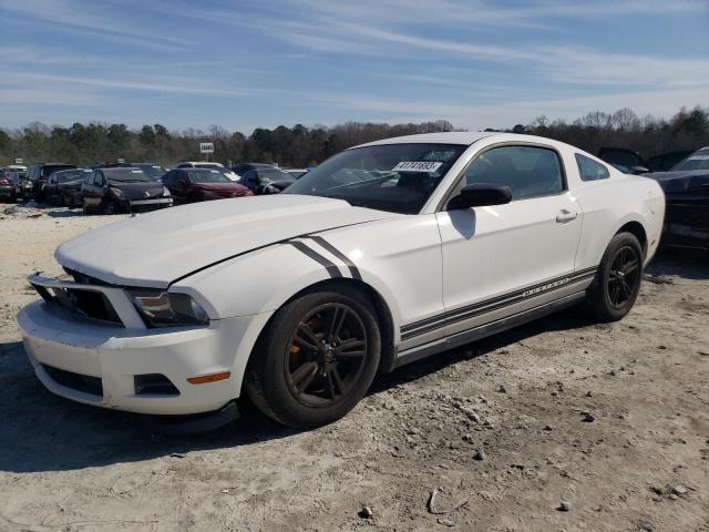 FORD MUSTANG 2012 with VIN 1ZVBP8AM7C5217005 - Photo from auction