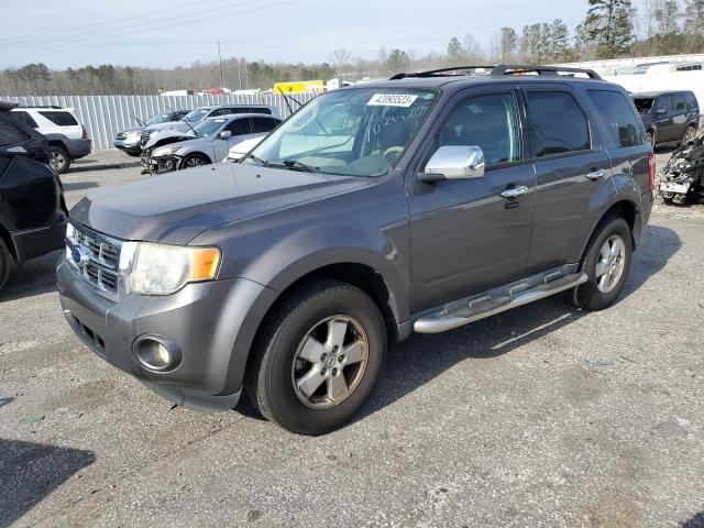 FORD ESCAPE XLT 2010 with VIN 1FMCU0D76AKC49977 - Photo from auction