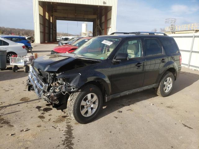 FORD ESCAPE LIM 2010 with VIN 1FMCU0EG7AKD01518 - Photo from auction