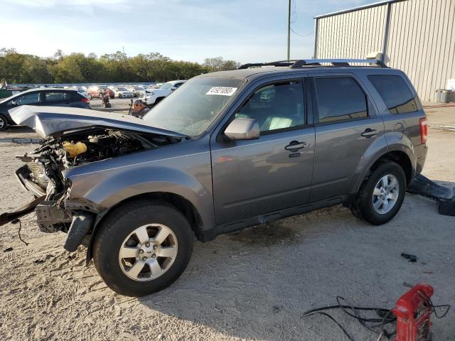 FORD ESCAPE 2010 with VIN 1FMCU0E71AKA33288 - Photo from auction
