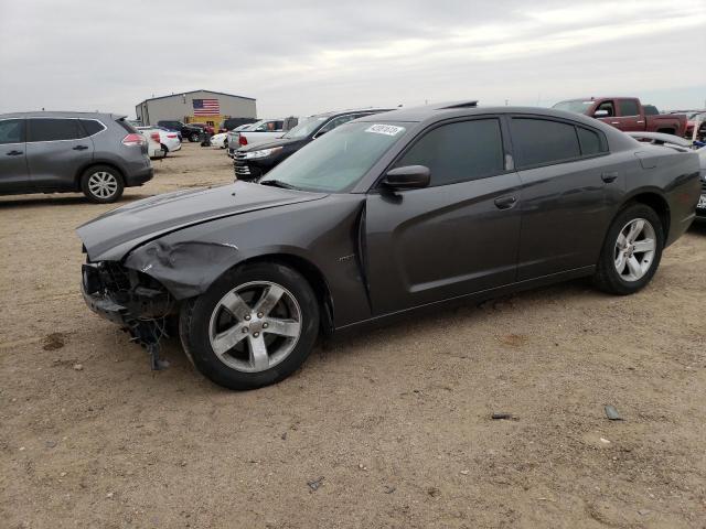 DODGE CHARGER R/ 2013 with VIN 2C3CDXCT5DH595787 - Photo from auction