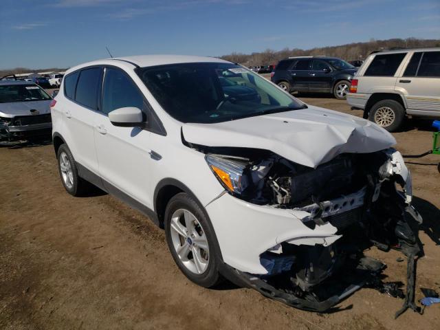 Photo 4 from auction – 2013 FORD ESCAPE SE with VIN 1FMCU0GX8DUD50474
