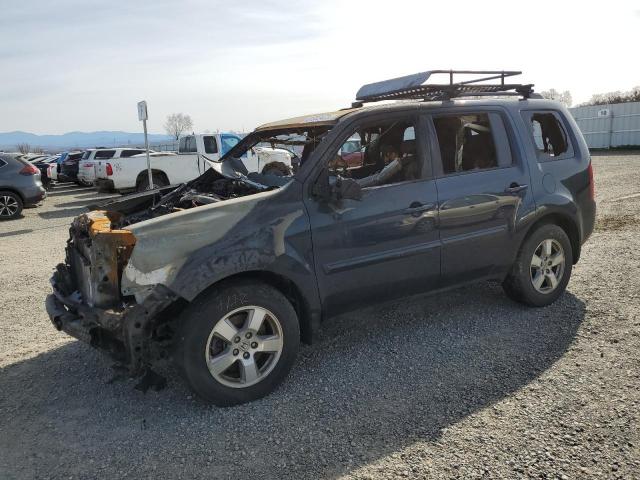 HONDA PILOT EXL 2011 with VIN 5FNYF4H53BB035032 - Photo from auction