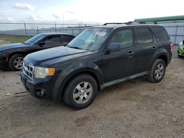 FORD ESCAPE XLT 2010 with VIN 1FMCU0DG9AKC62383 - Photo from auction