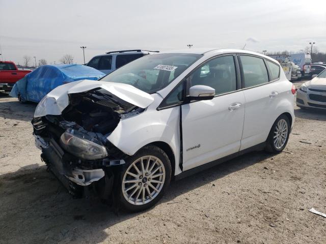 FORD C-MAX SE 2014 with VIN 1FADP5AU6EL508979 - Photo from auction