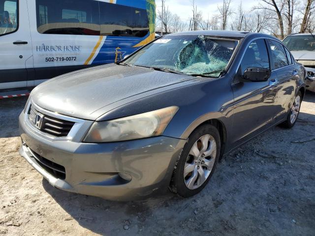 HONDA ACCORD EXL 2010 with VIN 5KBCP3F86AB004291 - Photo from auction