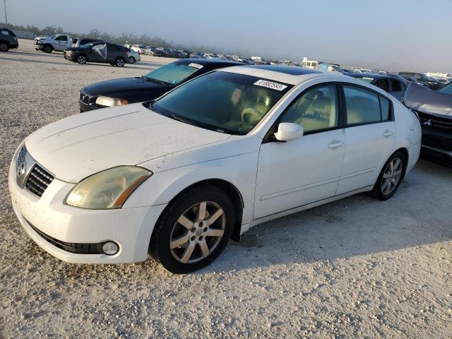 NISSAN MAXIMA SE 2006 with VIN 1N4BA41E76C830799 - Photo from auction