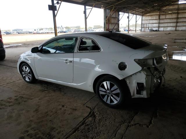 Photo 2 from auction – 2013 KIA FORTE EX with VIN KNAFU6A29D5679502