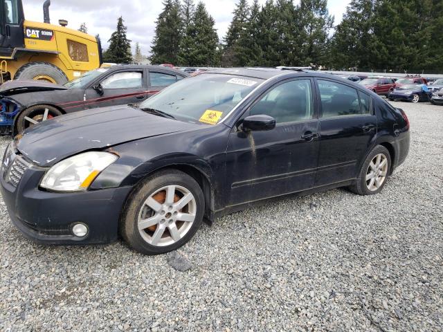 NISSAN MAXIMA SE 2004 z numerem VIN 1N4BA41E64C847588 - Zdjęcie z aukcji