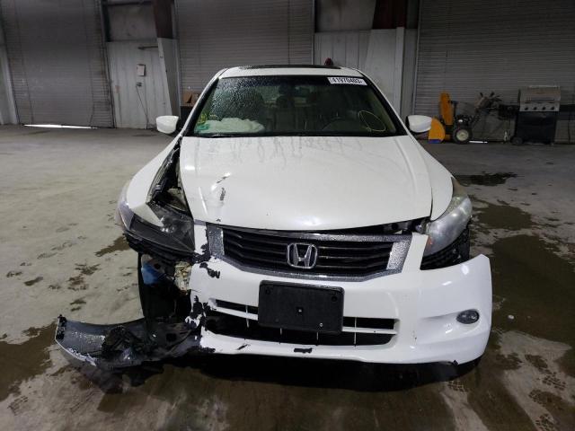 Photo 5 from auction – 2010 HONDA ACCORD EXL with VIN 1HGCP3F85AA024217