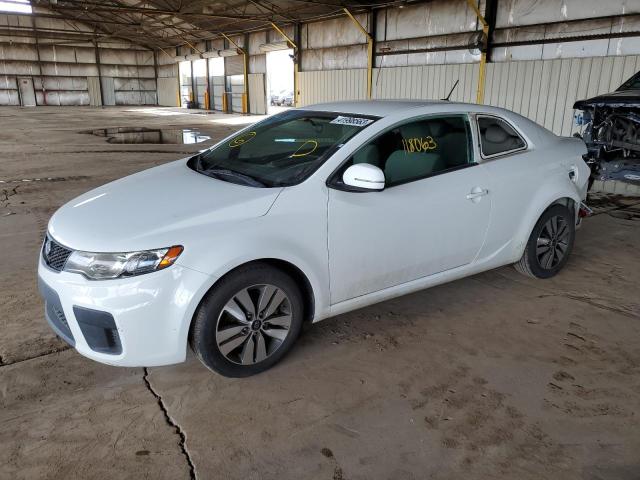 KIA FORTE EX 2013 with VIN KNAFU6A29D5679502 - Photo from auction