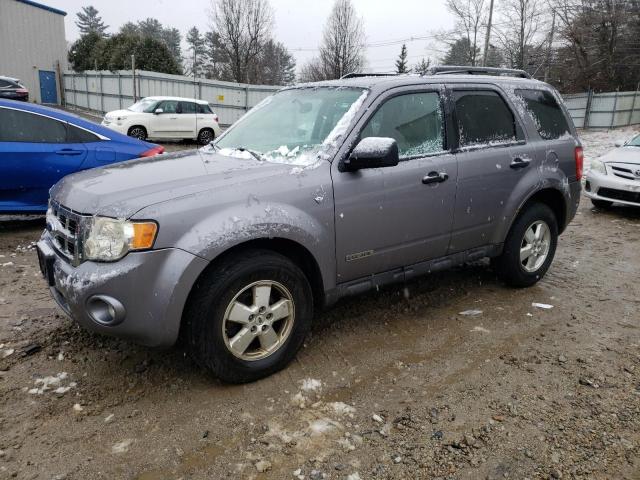 Photo 1 from auction – 2008 FORD ESCAPE XLT with VIN 1FMCU931X8KB61591