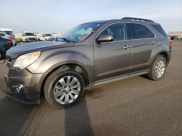 CHEVROLET EQUINOX LT 2011 with VIN 2CNFLPE56B6311792 - Photo from auction