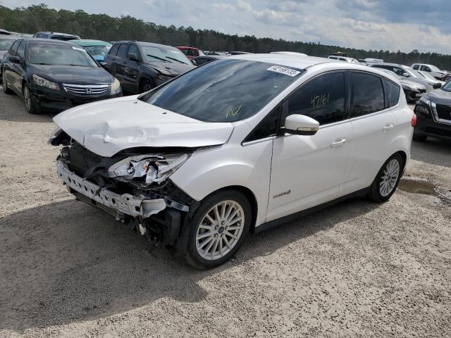 FORD C-MAX SEL 2014 with VIN 1FADP5BU4EL520840 - Photo from auction