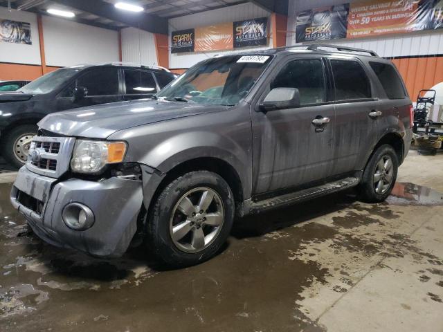 Photo 1 from auction – 2009 FORD ESCAPE XLT with VIN 1FMCU93799KA98487