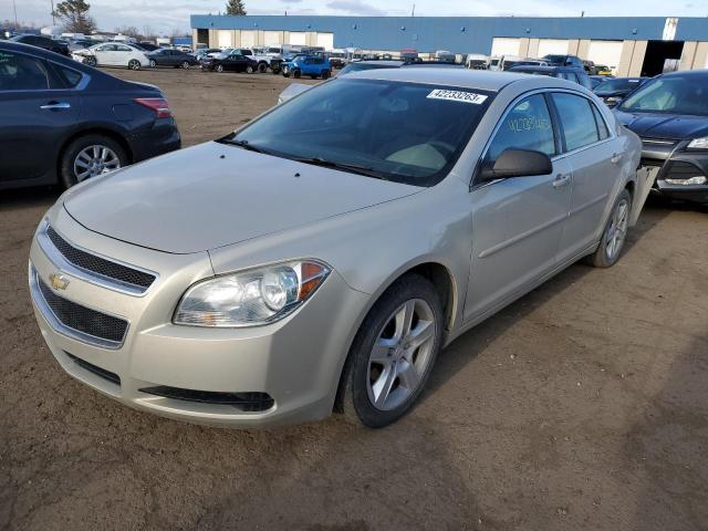CHEVROLET MALIBU LS 2011 with VIN 1G1ZB5E15BF259804 - Photo from auction