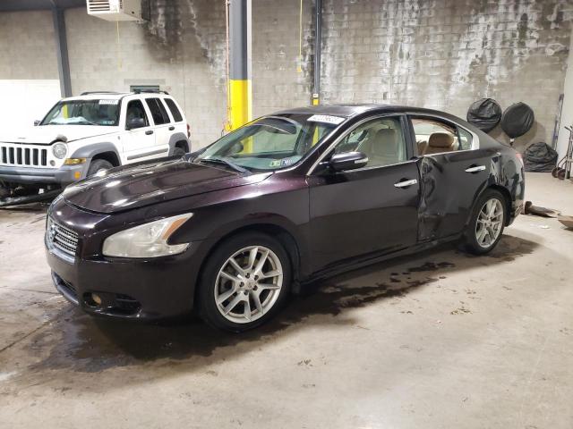 NISSAN MAXIMA S 2010 with VIN 1N4AA5AP4AC834224 - Photo from auction