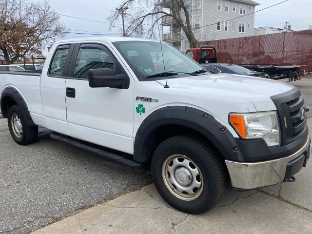 FORD F150 SUPER 2010 with VIN 1FTEX1EW0AFC18104 - Photo from auction