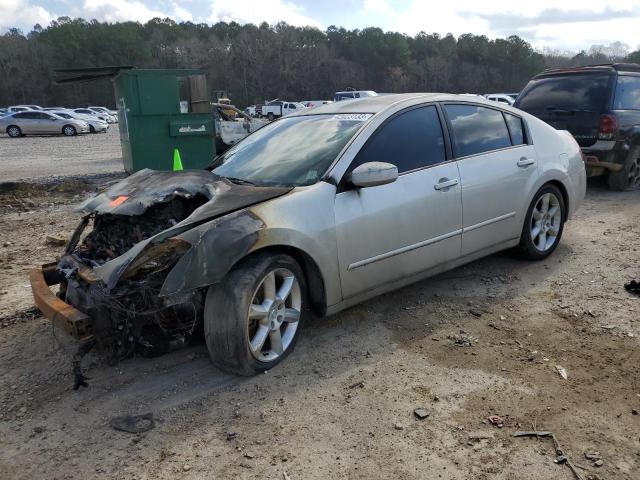 NISSAN MAXIMA SE 2004 with VIN 1N4BA41E84C837483 - Photo from auction
