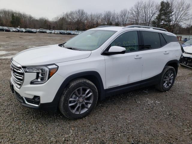 GMC TERRAIN SL 2022 with VIN 3GKALVEV6NL186543 - Photo from auction