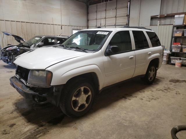 CHEVROLET TRAILBLAZE 2008 with VIN 1GNDS13S682216554 - Photo from auction