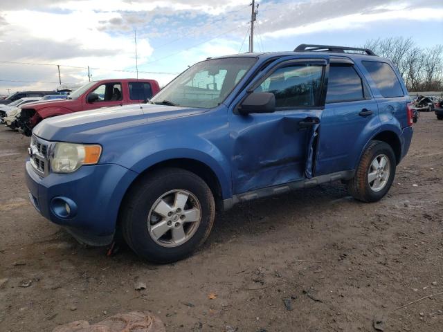 FORD ESCAPE XLT 2010 with VIN 1FMCU0D70AKC81906 - Photo from auction