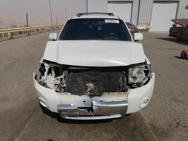 Photo 5 from auction – 2010 FORD ESCAPE LIM with VIN 1FMCU0EG7AKC43216