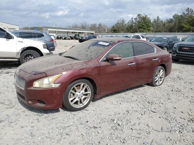 NISSAN MAXIMA S 2009 with VIN 1N4AA51E99C845276 - Photo from auction