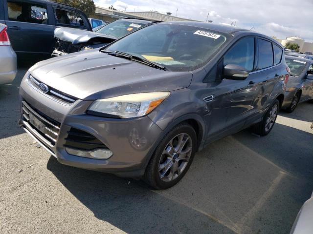 FORD ESCAPE SEL 2013 with VIN 1FMCU0HX1DUB66279 - Photo from auction