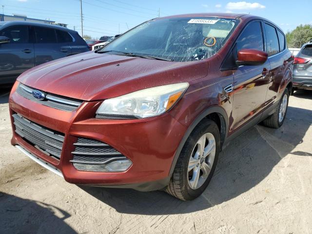 FORD ESCAPE SE 2014 with VIN 1FMCU0GX8EUB83602 - Photo from auction