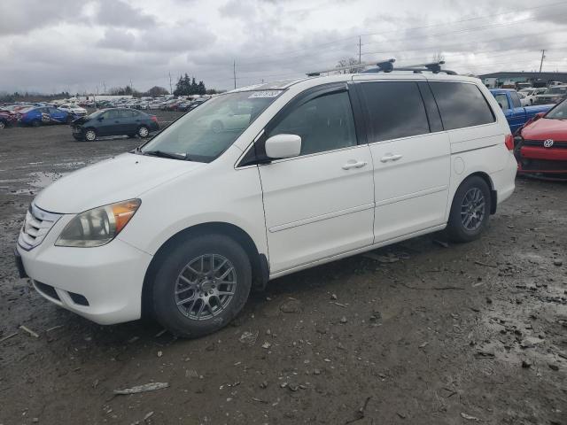 HONDA ODYSSEY EX 2008 with VIN 5FNRL38698B406039 - Photo from auction