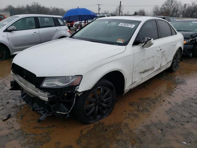 AUDI A4 PREMIUM 2010 with VIN WAUFFAFL7AN065266 - Photo from auction