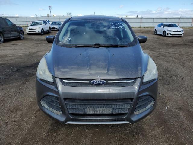 Photo 5 from auction – 2014 FORD ESCAPE SE with VIN 1FMCU0GX5EUB47656