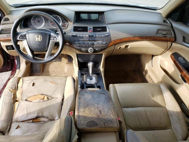 Photo 8 from auction – 2010 HONDA ACCORD EXL with VIN 1HGCP2F81AA005125