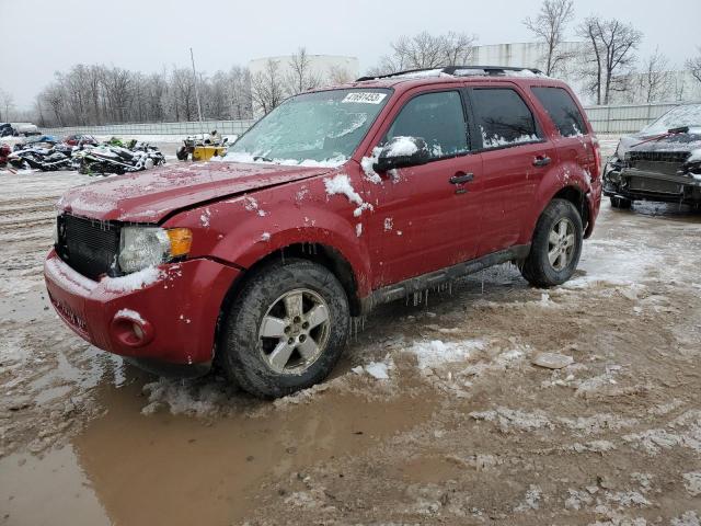 FORD ESCAPE XLT 2010 with VIN 1FMCU9DG5AKB88514 - Photo from auction