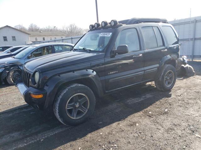 JEEP LIBERTY RE 2004 with VIN 1J4GL38K34W190824 - Photo from auction
