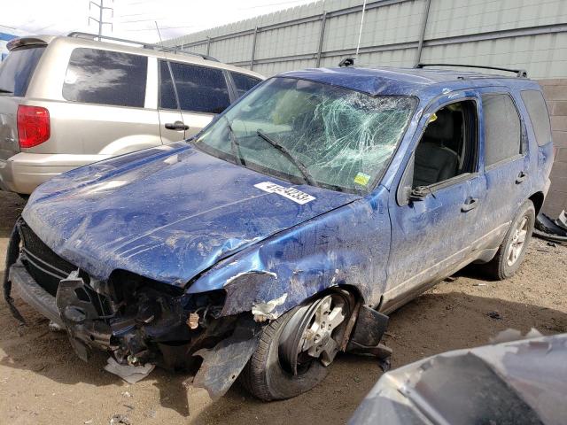 FORD ESCAPE XLT 2007 with VIN 1FMCU93137KB78506 - Photo from auction
