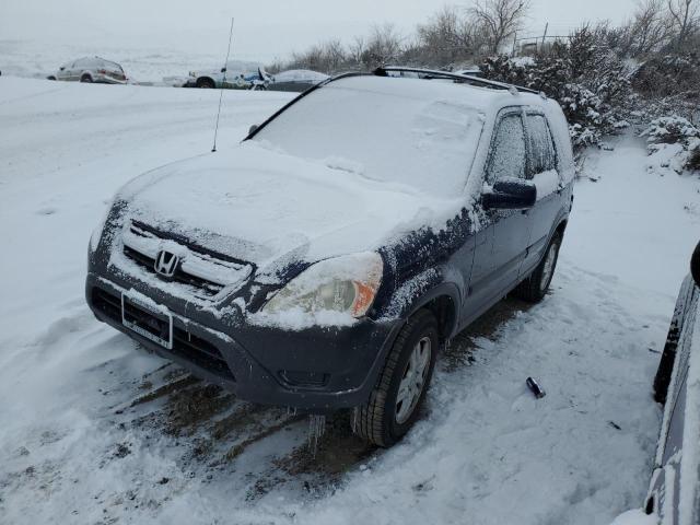 HONDA CR-V EX 2003 with VIN JHLRD78823C025146 - Photo from auction