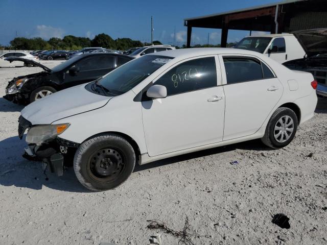 TOYOTA COROLLA BA 2010 with VIN 2T1BU4EE5AC427979 - Photo from auction