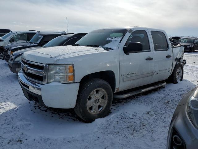 CHEVROLET SILVERADO 2009 with VIN 3GCEK23CX9G221728 - Photo from auction