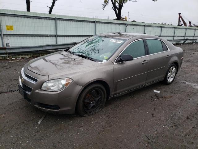 CHEVROLET MALIBU LS 2011 with VIN 1G1ZB5E05CF300974 - Photo from auction