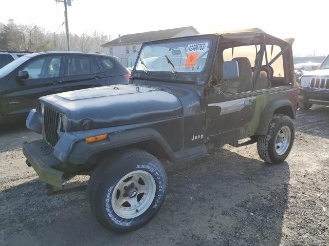 JEEP WRANGLER / 1993 with VIN 1J4FY19P9PP235470 - Photo from auction