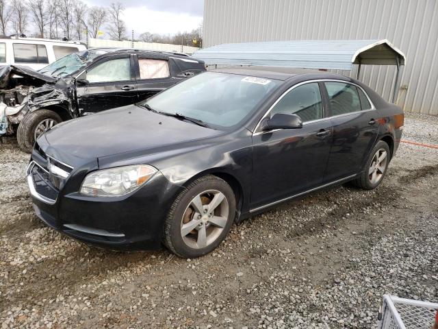 CHEVROLET MALIBU 1LT 2011 with VIN 1G1ZC5EU3BF124604 - Photo from auction