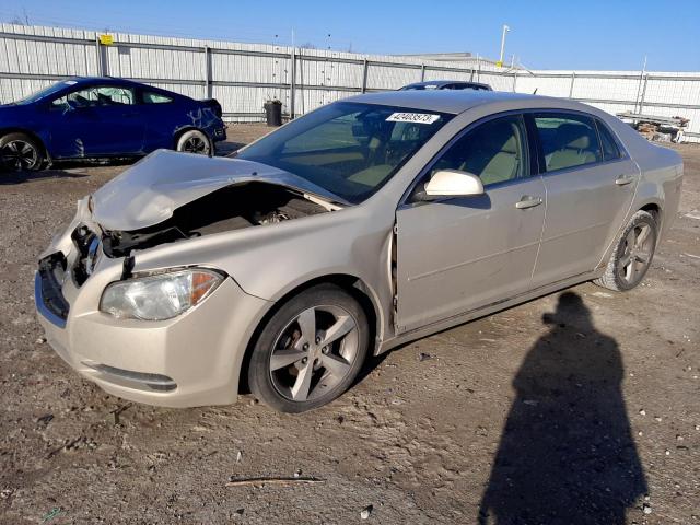 CHEVROLET MALIBU 2LT 2009 with VIN 1G1ZJ57B59F234792 - Photo from auction