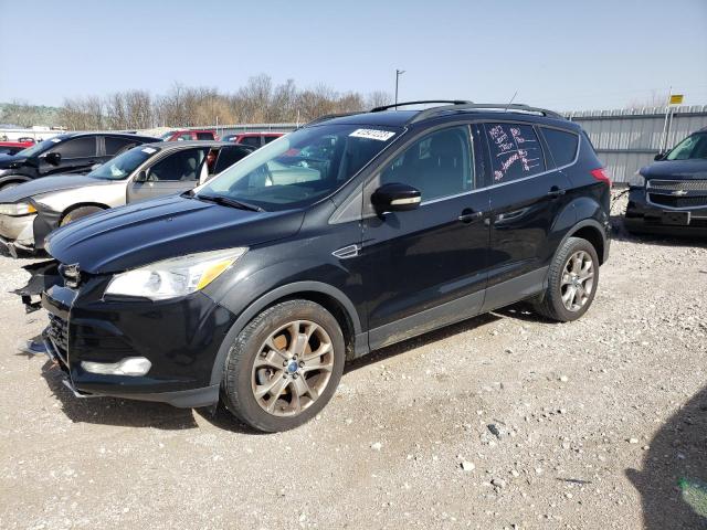 FORD ESCAPE SEL 2013 with VIN 1FMCU0H92DUB07243 - Photo from auction