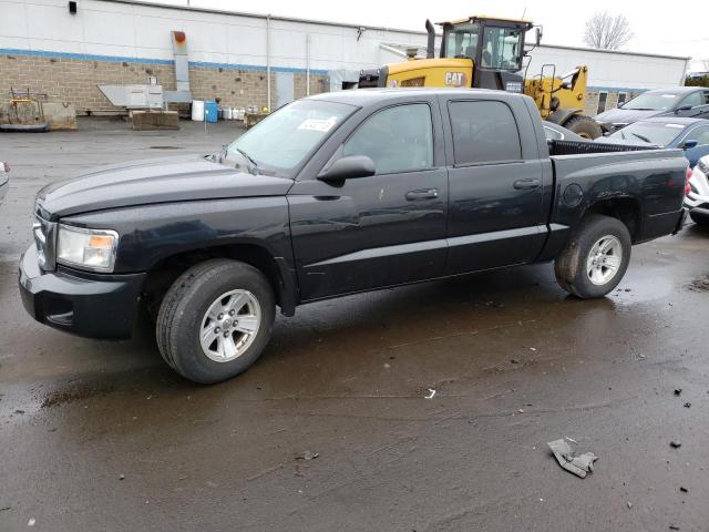 DODGE DAKOTA QUA 2008 with VIN 1D7HW48N88S615281 - Photo from auction